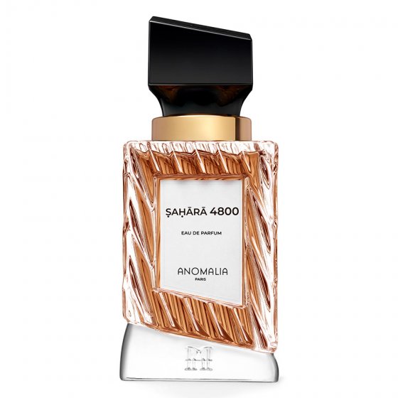 Anomalia Paris Sahara 4800...