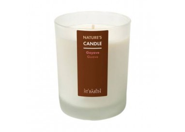 Ligne St Barth Ambiente Candela Guava 180 Gr