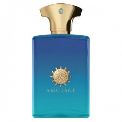 Amouage Figment Man Edp 100 Ml