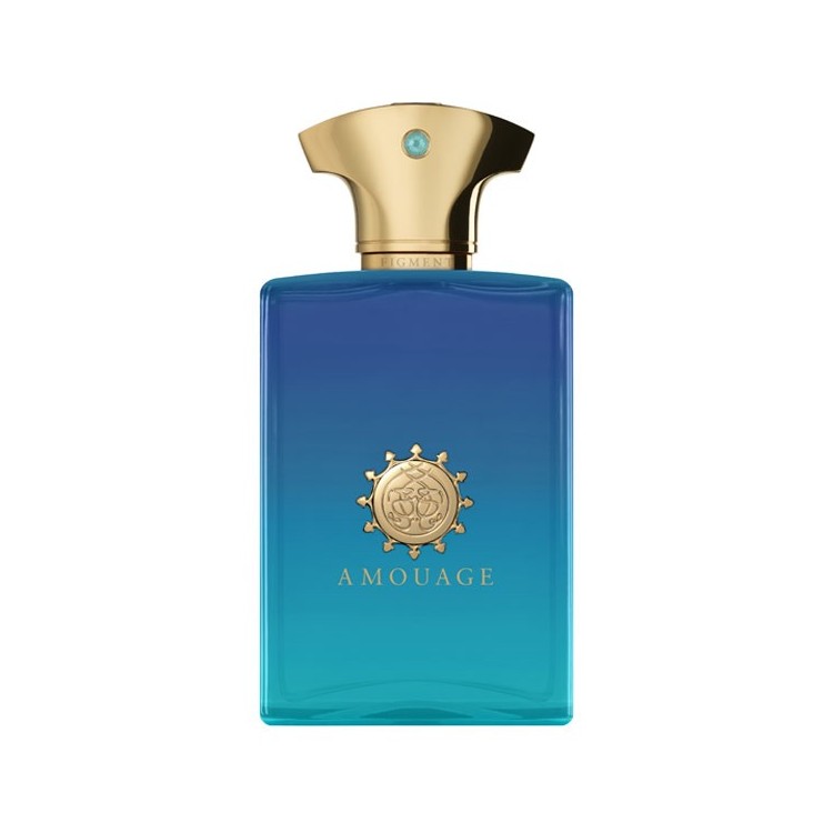 Amouage Figment Man Edp 100 Ml