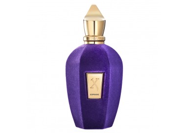 Xerjoff V Soprano Edp 100 Ml