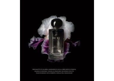Roh Marrakech Brise Insolente Edp 100 Ml