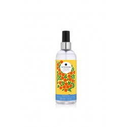 Tuttotondo Chinotto Hair &...