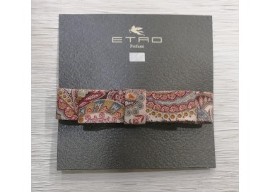 Etro P. Accessori Barretta Doppio Fiocchetto
