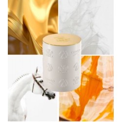 Creed Aventus for Her...