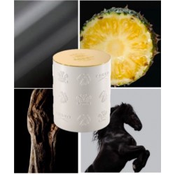 Creed Aventus Candle 220g